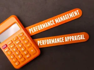 Performance Max Strategies
